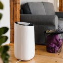 Osuszacz powietrza TESLA TSL-AC-VIRGO Smart Dehumidifer XL